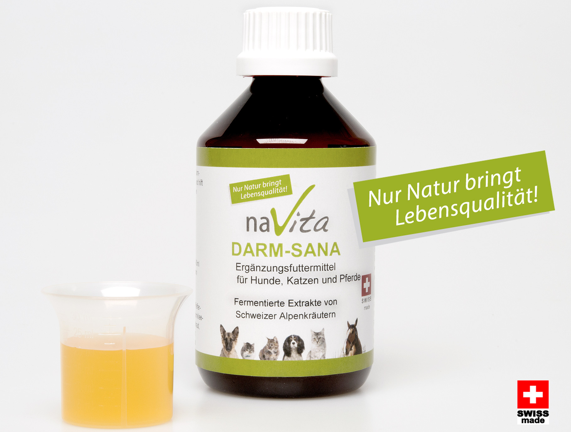 Durchfall erfolgreich behandeln - HundKatzeSchmaus GmbH