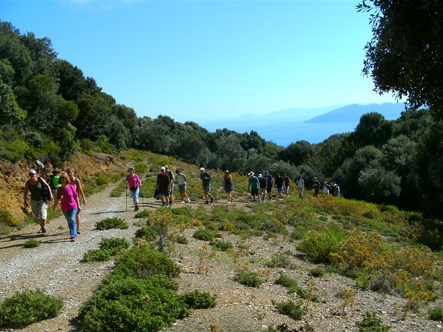 Wandern auf Skiathos