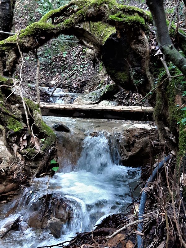 wandern mit Wanderführer auf Skiathos