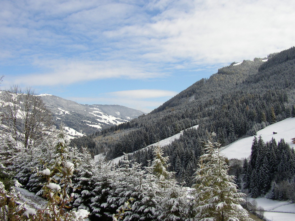 Ausblick nach Saalbach