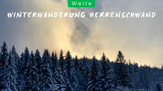 Winterwanderung in Herrenschwand