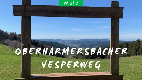 Schwarzwaldwanderung Oberharmersbacher Vespere