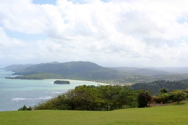 Firefly Garten und Karibik