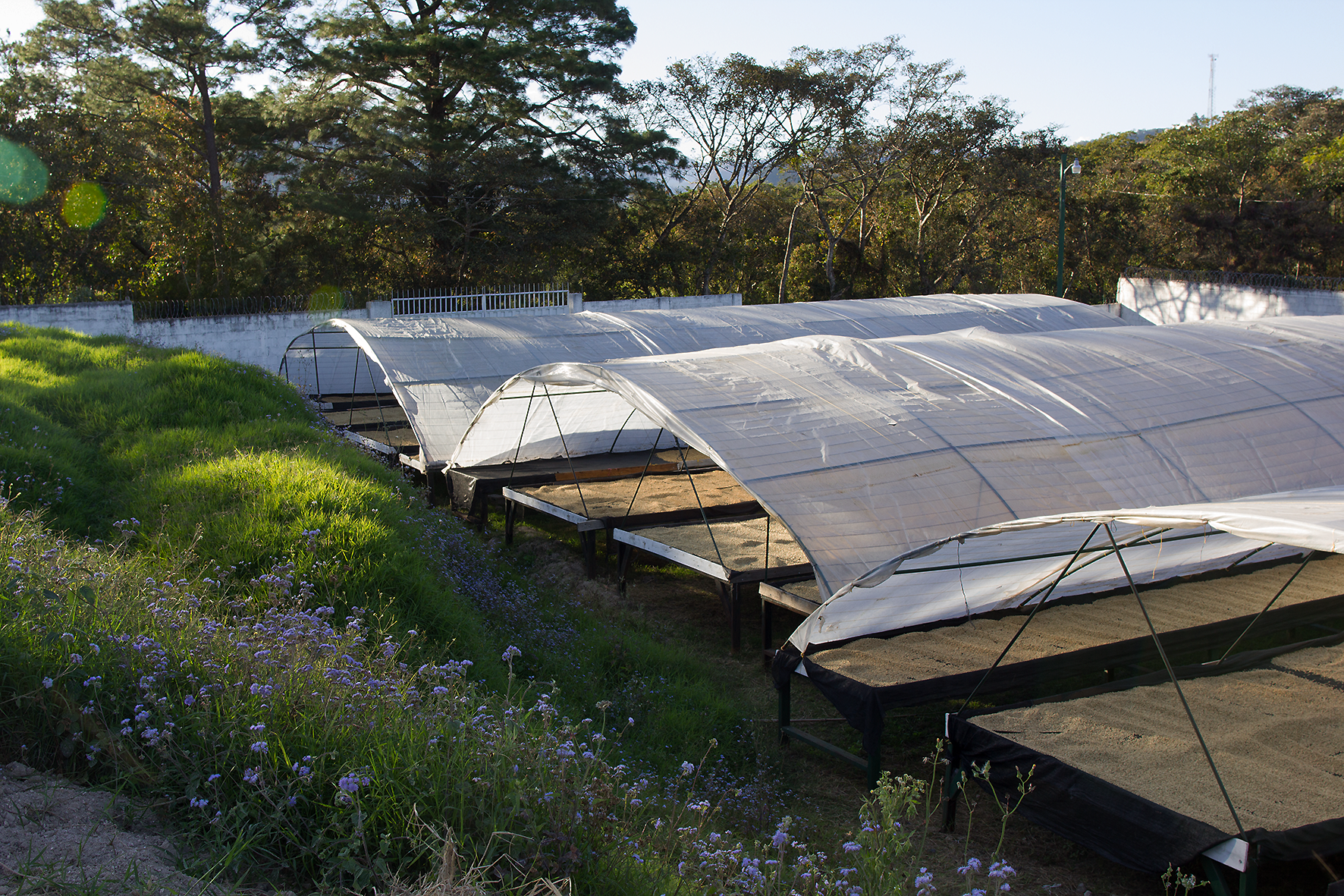 Afrikanische Trocknungsbetten (Kosten pro Bett ca. 3000 US$)