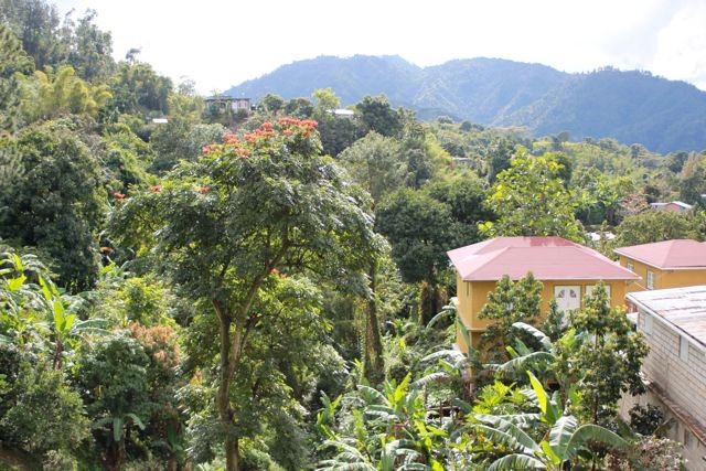 Blick von der Terrasse