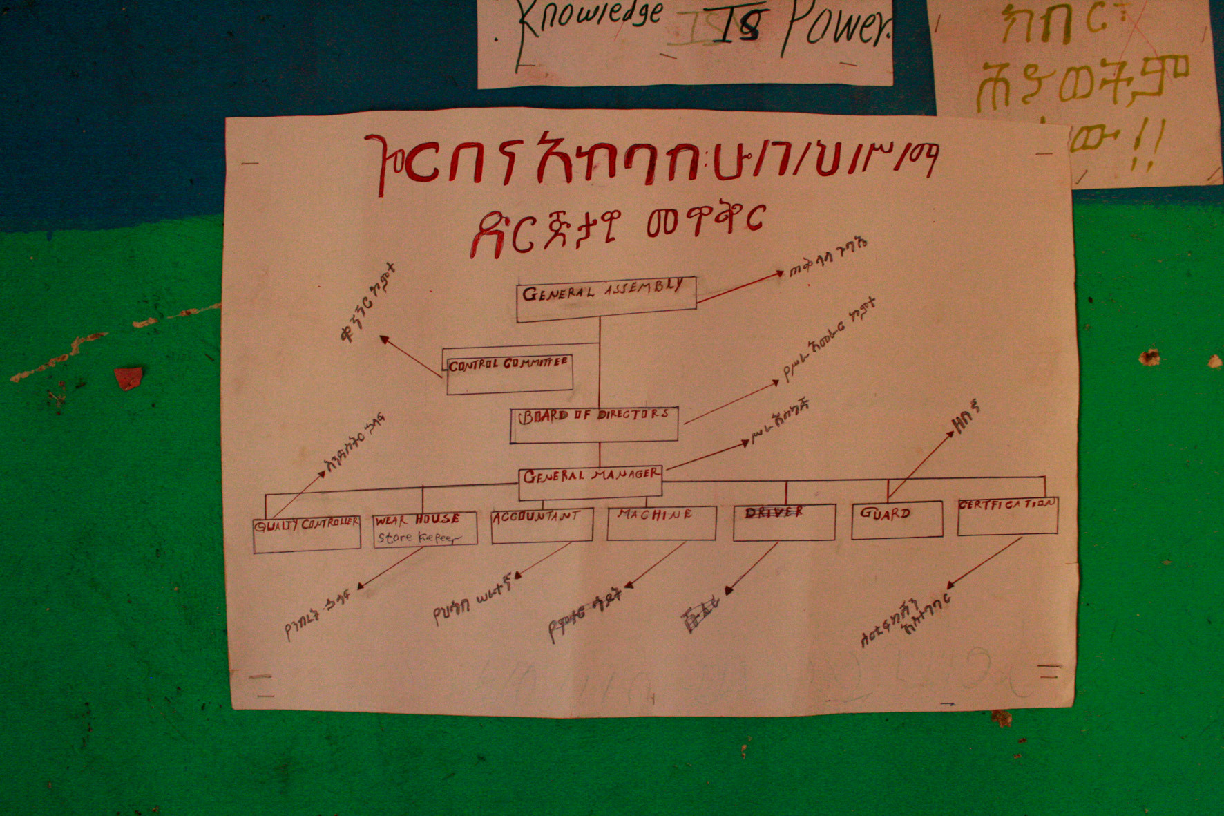 Struktur der Kooperative