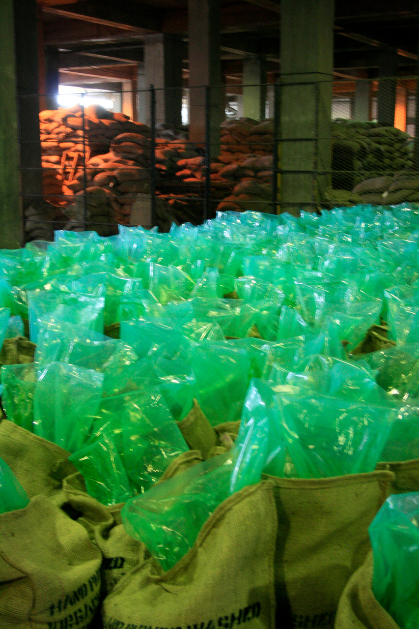 Kaffee in "Grain Pro" Säcken.