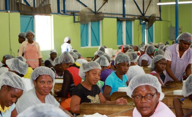 13 kg am Tag pro Frau werden sortiert