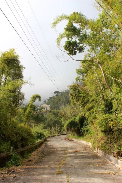 zurück auf der Strasse