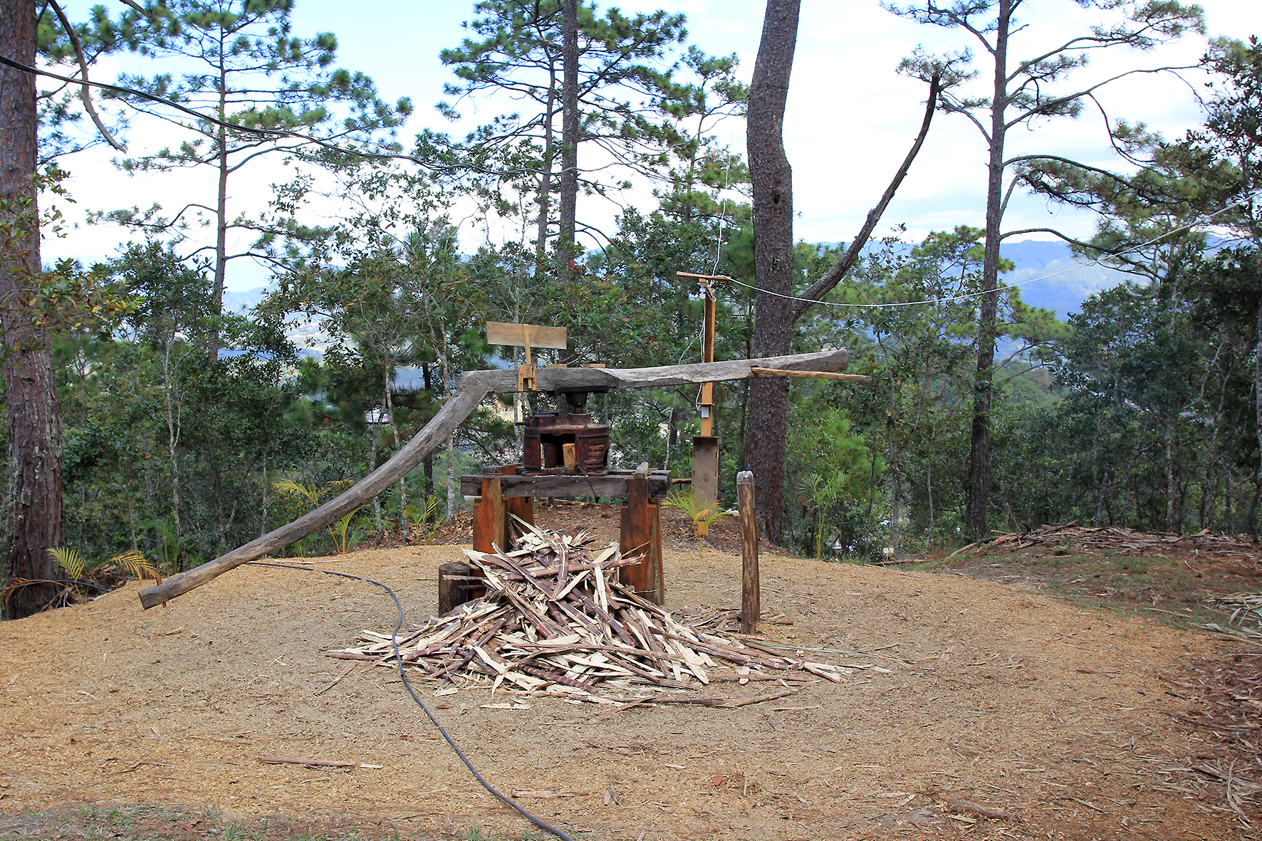 Zuckerrohrpresse! 1 Pferd - die Reste des Zuckerrohs frisst das Pferd, die Pferdeäpfel kriegen die Würmer. Die Würmer werden von den Hühnern gefressen, Hühnerdung wird für den Dünger für Kaffee mit benutzt.