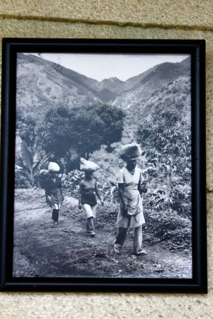 Frauen die Kaffeekirschen tragen (Bild hängt am Wallen Haus)