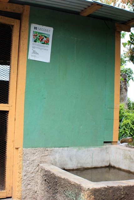 Wasser für den Floatingtest