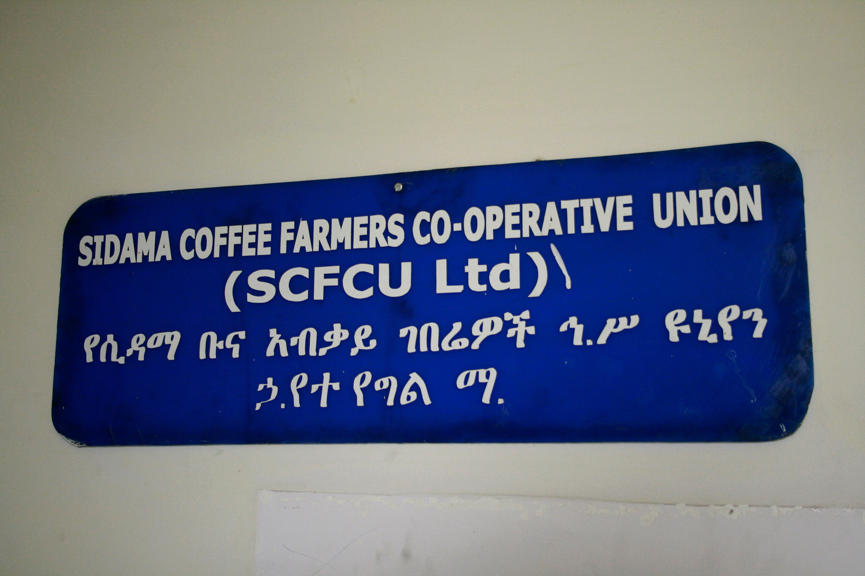 Die SCFU ist die Vereinigung von 48 Kooperativen der Region Sidama 