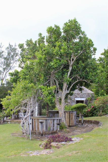 Gartenbar des Firefly