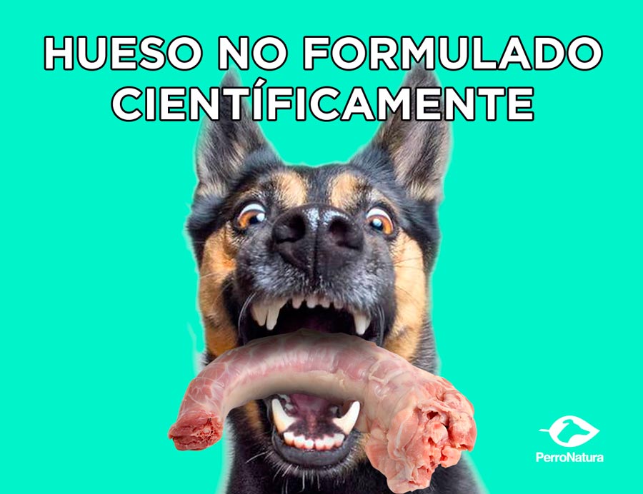 comida natural para perros