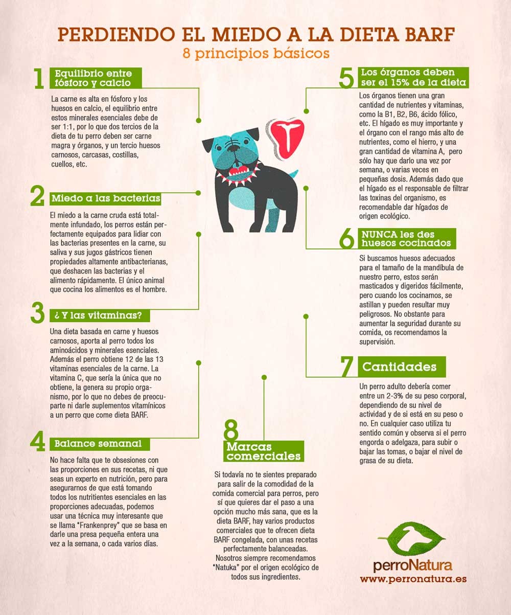 normas dieta BARF 