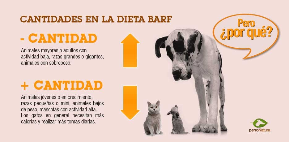 cantidad de dieta BARF