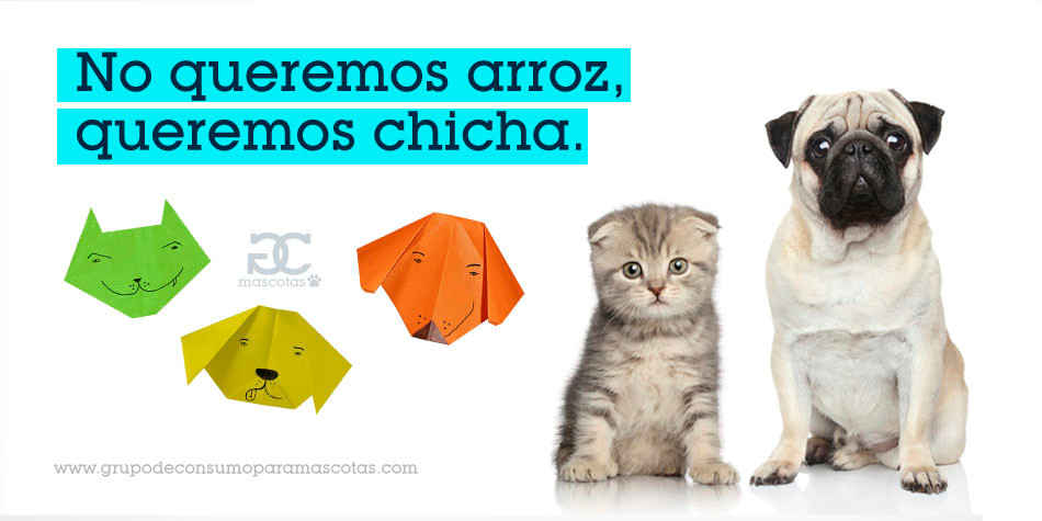 perros gatos carbohidratos