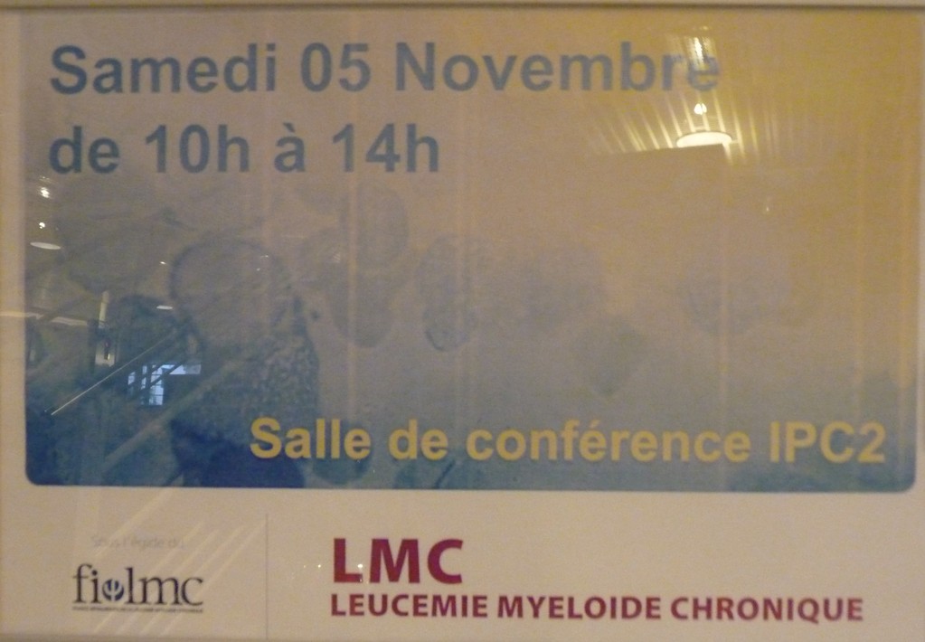 Journées Patients Fi LMC du 5 Novembre 2011
