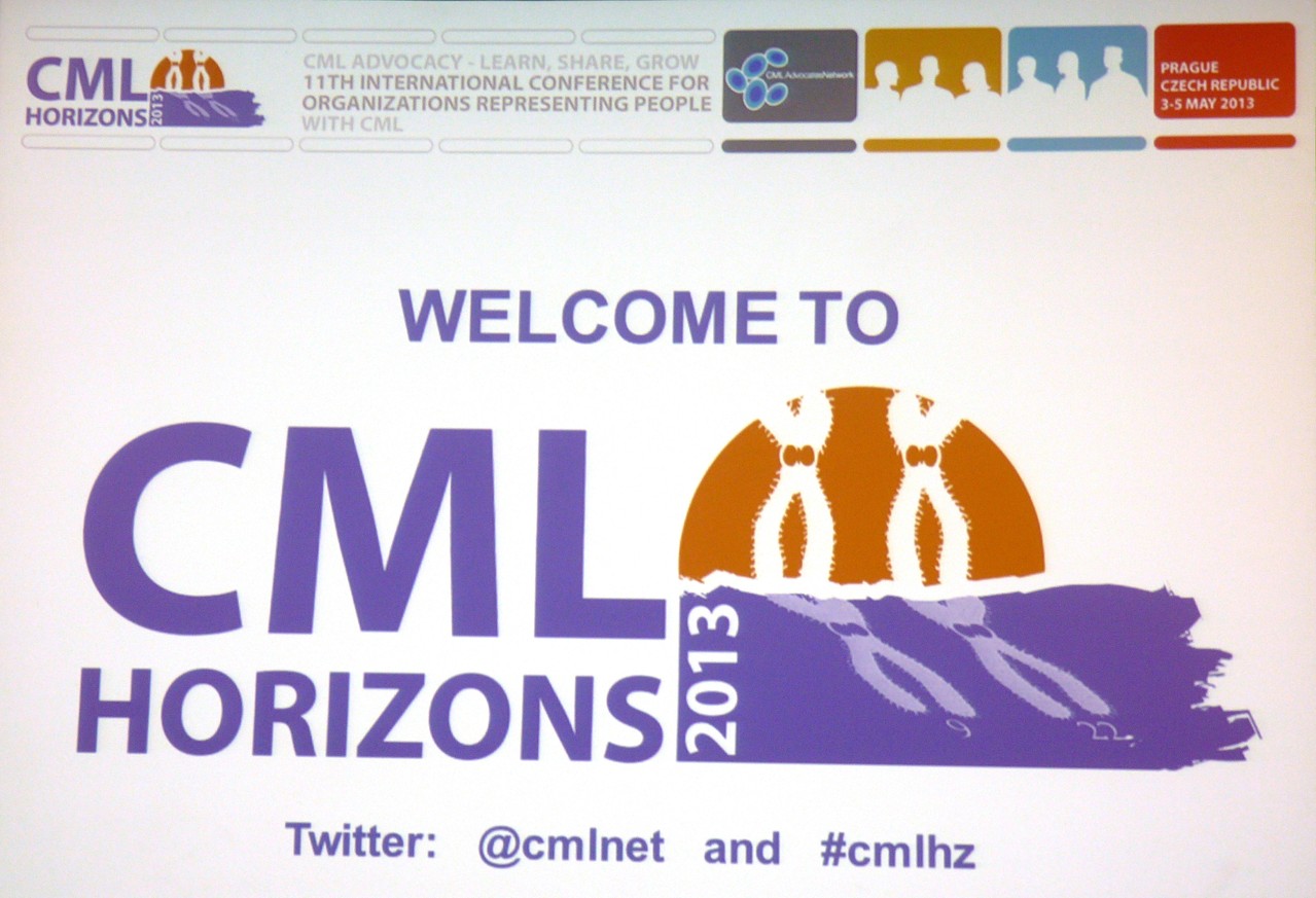 CML Horizons 2013