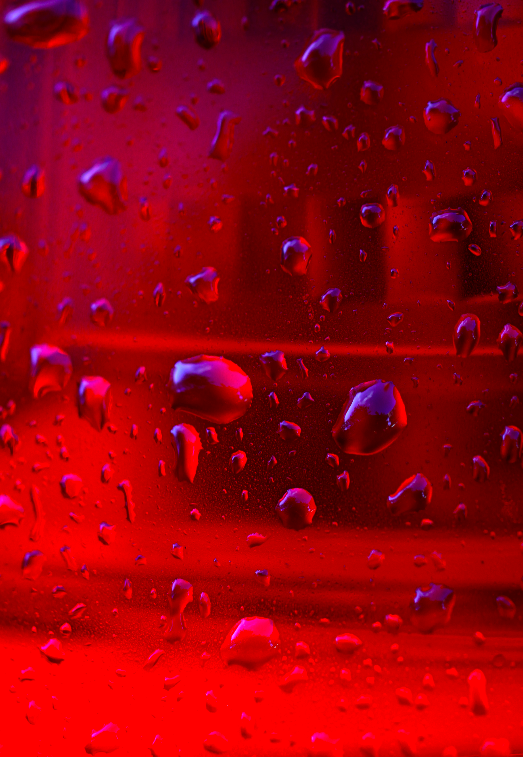 "Revolución".  San Juan, Puerto Rico (2011)