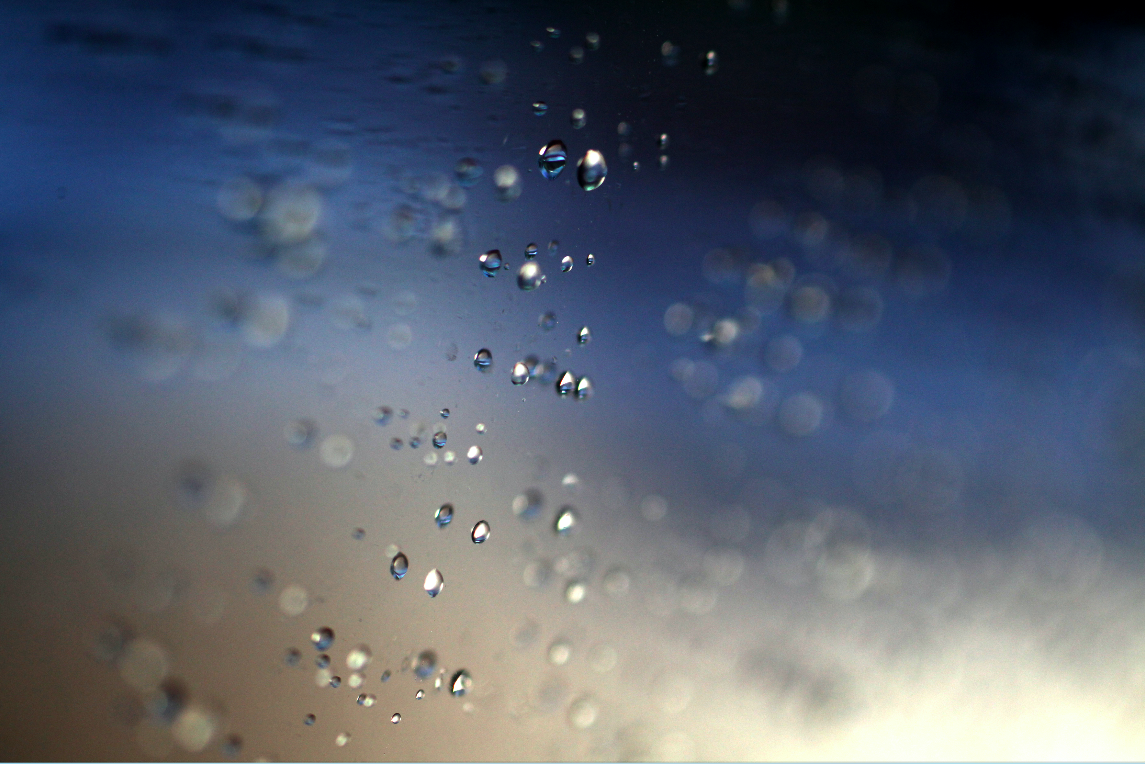 "Multitud".  San Juan, Puerto Rico (2011)