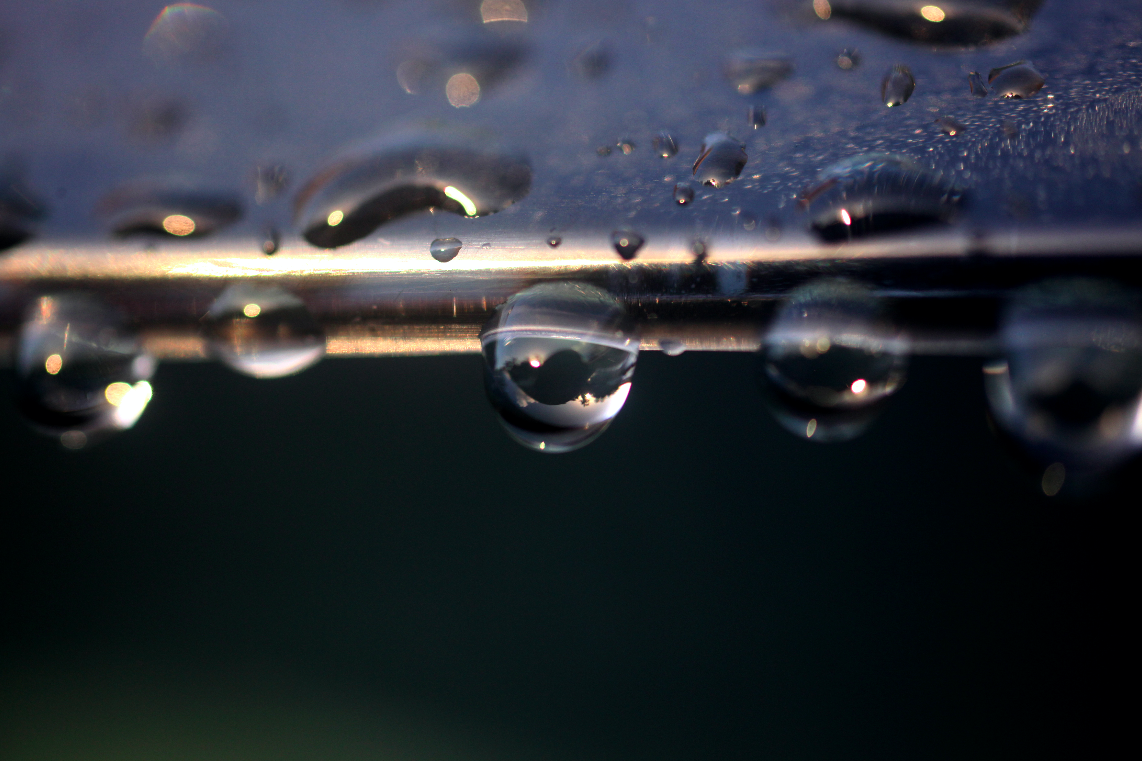 "Espera".  San Juan, Puerto Rico (2011)