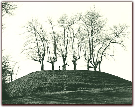 orthe landes peyrehorade aquitaine sorde hastingues cagnotte gave adour saumon chalosse abbaye