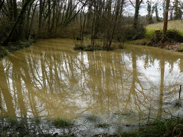 La grande mare et son île presqu'entièrement submergée - ©M. H. CINGAL 2010