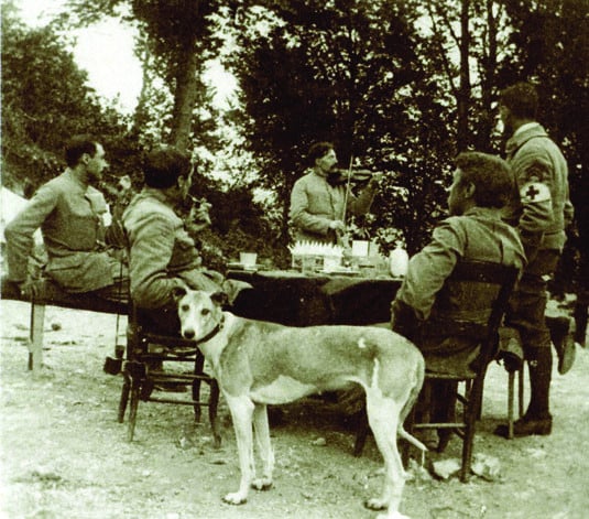 orthe , bélus , landes , durosoir , violon , maréchal , caplet , neuville st vaast , guerre , colombophile , 1914 , douaumont , quintette du général