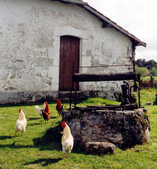orthe, peyrehorade, landes, aquitaine, peche, lamproie, adour, gave, arthous, cagnotte, sorde, barthes, radelage, alose, saumon, port de lanne, lavoir, couralin, hastingues,  tilhole, galupe