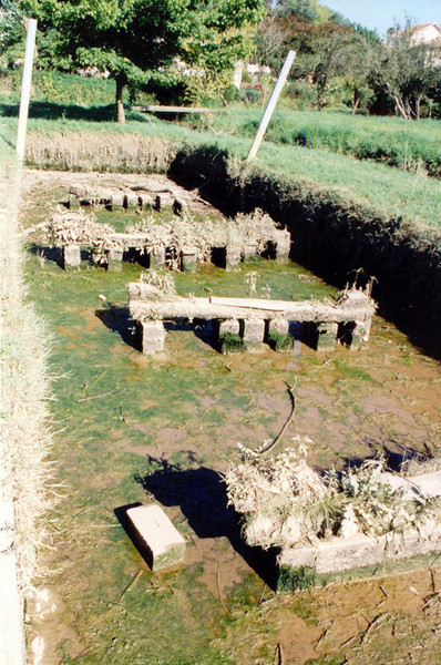 orthe, port de lanne, peyrehorade, landes, aquitaine, hastingues, gave, adour, barthes, saumon, alose, bec du gave, lamproie, marée, arthous, lavoir, couralin
