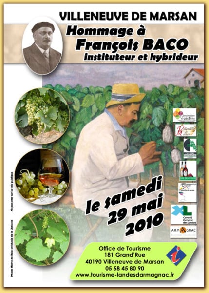 baco, françois, peyrehorade, orthe, landes, aquitaine, dax, adour, belus, labatut, greffe, greffon, phylloxera, armagnac, vignoble, instituteur, hybride, hybridation, viticulture, hudson