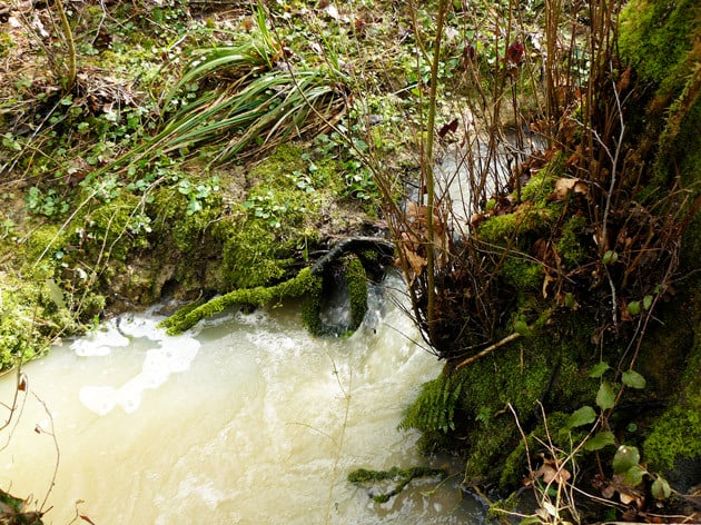 Bouillonnements sur le ruisseau du Campot - ©M. H. CINGAL 2010