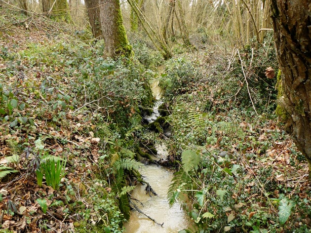 Le Ruisseau du Campot - ©M. H. CINGAL 2010