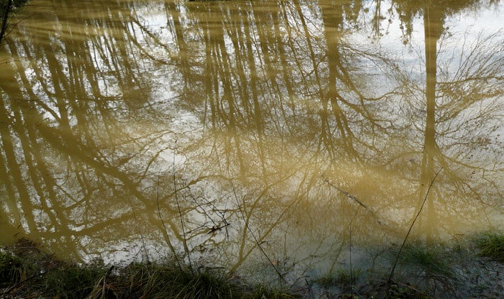 Reflets dans la grande mare - ©M. H. CINGAL 2010