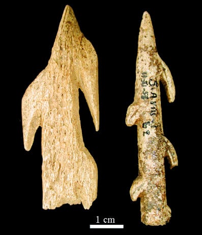 orthe, inondation, peyrehorade, landes, aquitaine, peche, lamproie, pyrenees, gave, arthous, adour, sorde, barthes, radelage, alose, saumon, port de lanne, couralin, hastingues,  tilhole, galupe