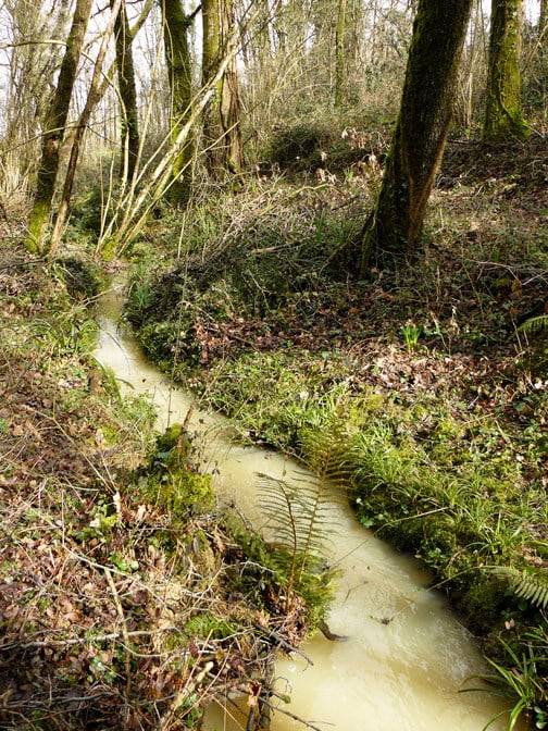Le Ruisseau du Campot - ©M. H. CINGAL 2010