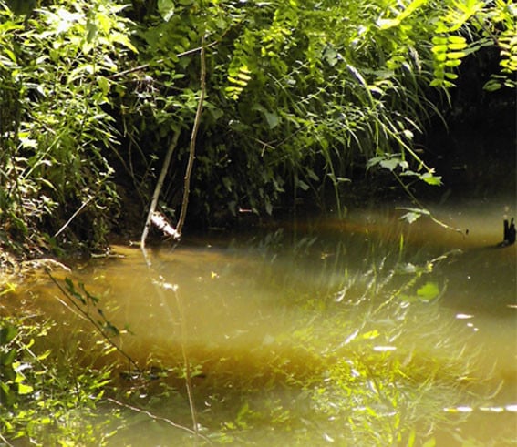 orthe, peyrehorade, landes, aquitaine, peche, lamproie, adour, gave, arthous, cagnotte, sorde, barthes, rasport, alose, saumon, port de lanne, lavoir, couralin, hastingues,  tilhole, galupe