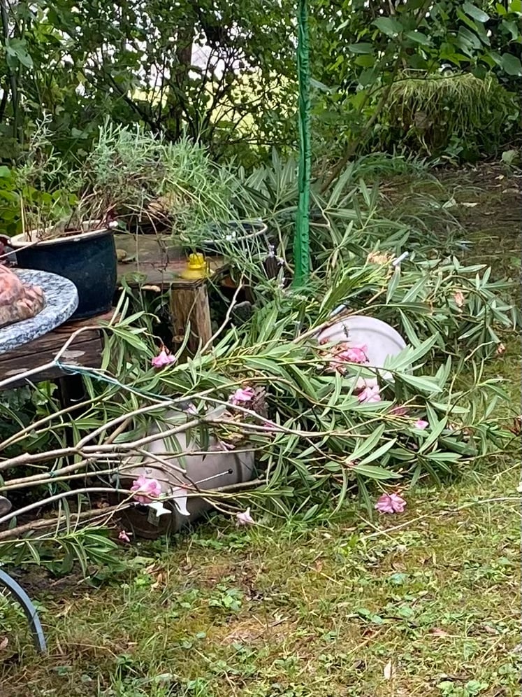 12 von 12 •  Juli 2023