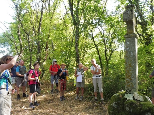 Une croix hosannière
