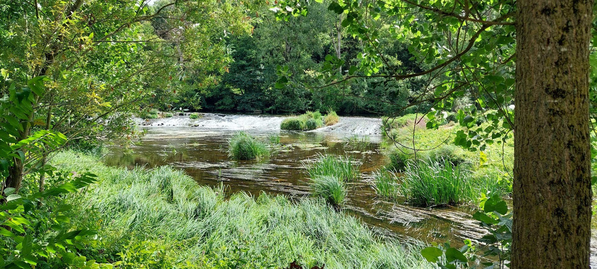 Le lieu de pique-nique au bord de la Gartempe.