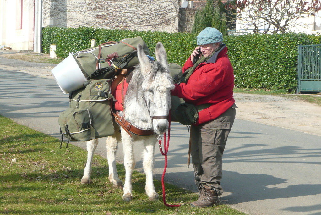 6 mars. Barbara avec son ânesse  Dali