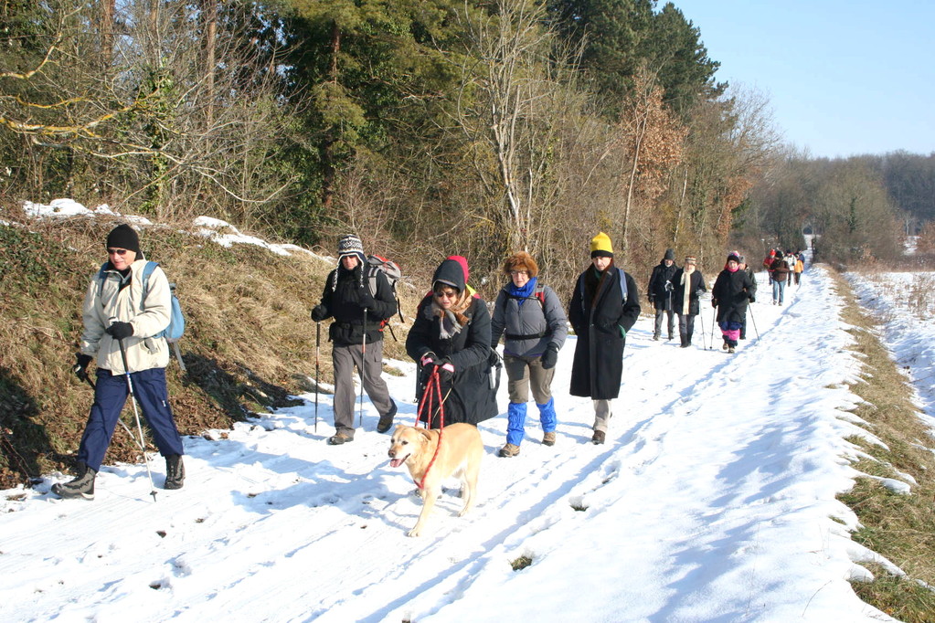 12 février. Marche sous le soleil d'hiver