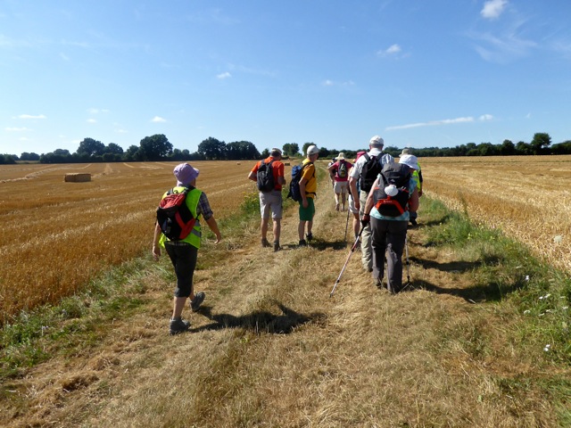 Marcheurs entre les chaumes