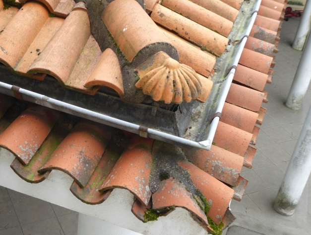 La coquille sur le toit.