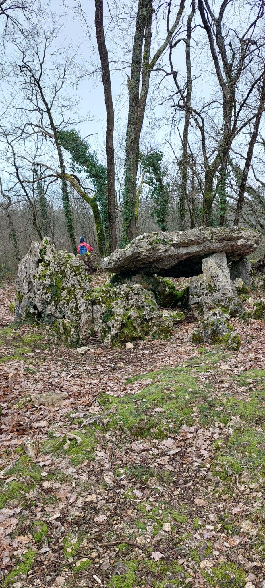 Le dolmen d'Arlait.