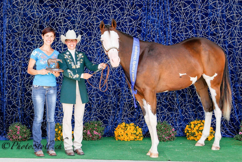 SPHA Futurity Weanling Stallions & SPHA Futurity Weanling Mares