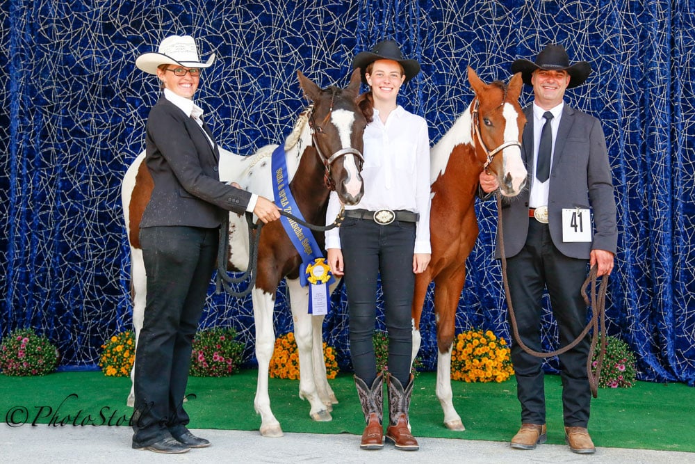 SPHA Futurity Yearling Mares Marion Kaufmann Amstutz und Rolf Ambord