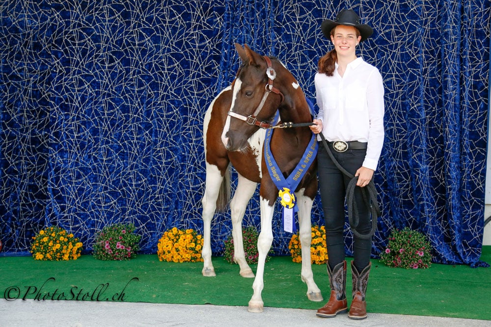 SPHA Futurity Yearling Mares